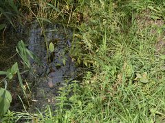 Жители просят проверить стройку Дома у озера на влияние на грунтовые воды
