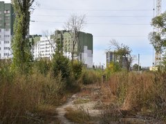 Жители просят проверить стройку Дома у озера на влияние на грунтовые воды