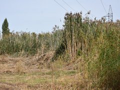 Жители просят проверить стройку Дома у озера на влияние на грунтовые воды