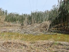 Жители просят проверить стройку Дома у озера на влияние на грунтовые воды