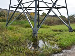Жители просят проверить стройку Дома у озера на влияние на грунтовые воды