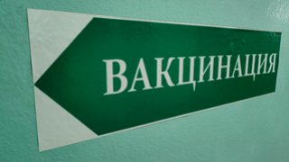 В России зарегистрировали новую вакцину от аллергии на пыльцу березы