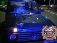 В Энгельсе сбили 8-летнюю девочку