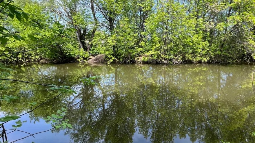 Под Балаковом пропавшего рыбака нашли мертвым в воде
