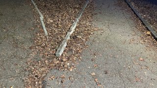 Погода в Саратовской области: теплая пятница