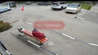 Задержан сбросивший котят с 8 этажа живодер