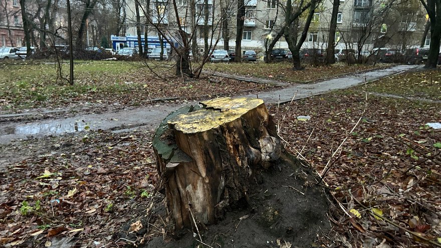 Погода в Саратовской области: небольшой дождь в субботу