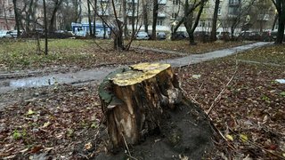 Погода в Саратовской области: небольшой дождь в субботу