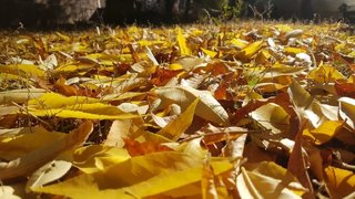 Погода в Саратовской области: до +25 градусов в понедельник