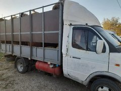 В Саратовской области поймали 89 овец-нелегалов