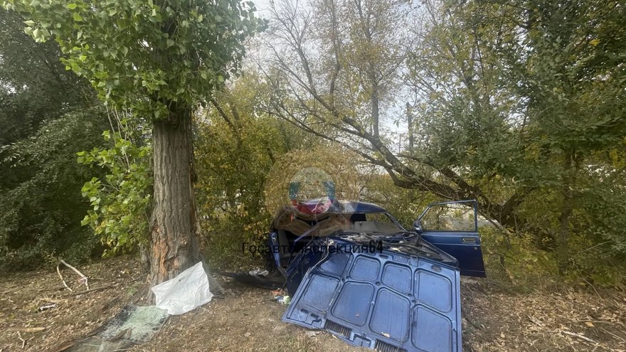 В Саратове мужчина на семерке влетел в дерево и погиб