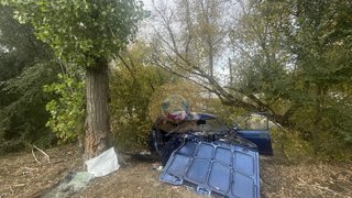 В Саратове мужчина на семерке влетел в дерево и погиб