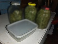 В Саратове у мужчины изъяли полкилограмма наркотиков и бульбулятор