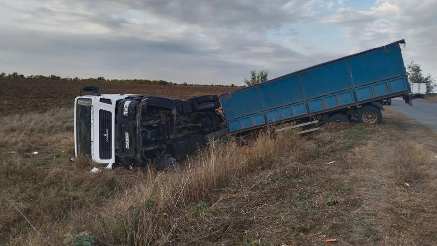 В Саратовской области перевернулся грузовик с коровами