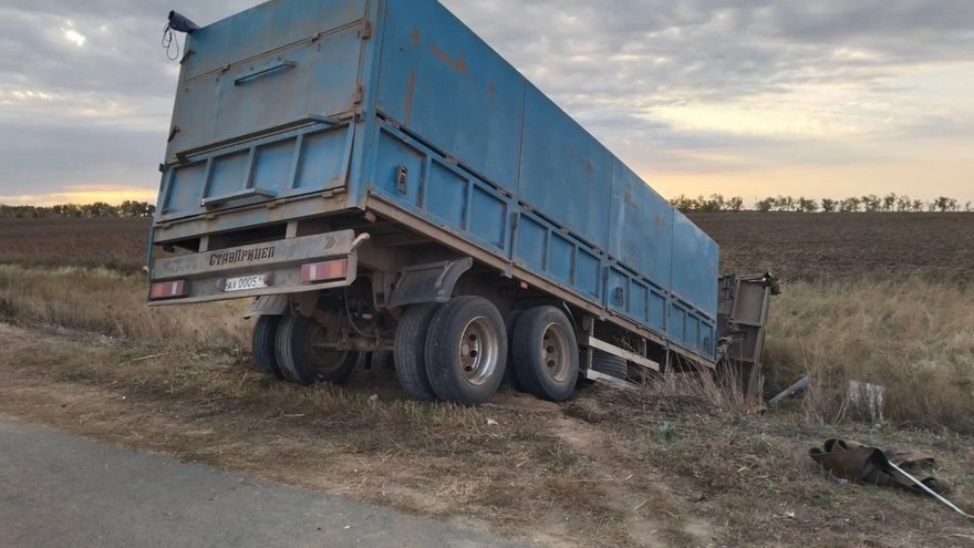 В Саратовской области перевернулся грузовик с коровами