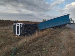 В Саратовской области перевернулся грузовик с коровами