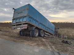 В Саратовской области перевернулся грузовик с коровами