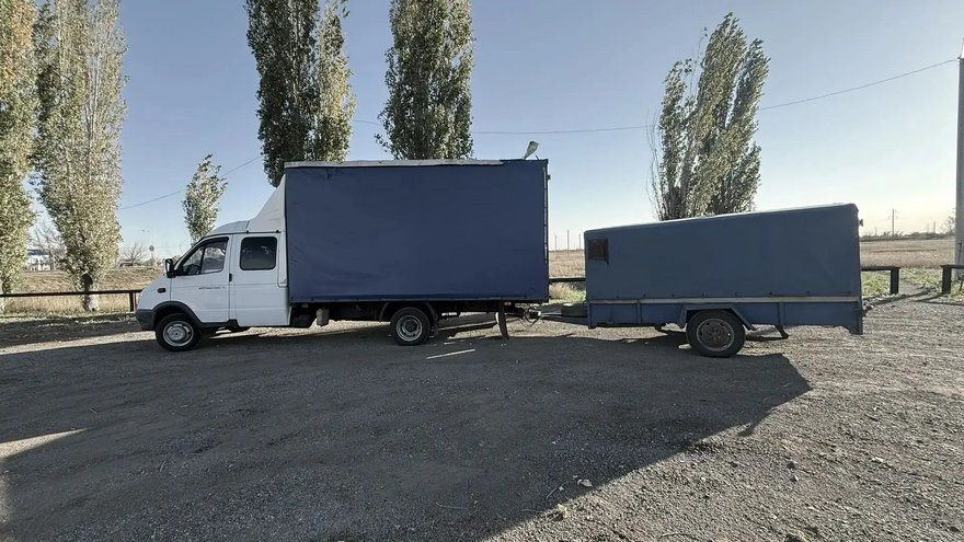 В Саратовской области задержали 85 нелегальных коров