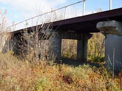 Росгвардеец пришел на помощь упавшему с моста пенсионеру-велосипедисту