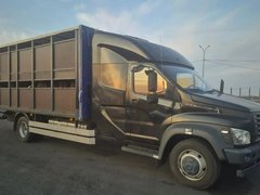 В пригороде Саратова поймали коров-нелегалов из Волгоградской области