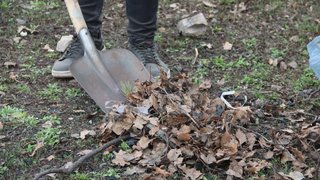 Министр позвал саратовцев на субботник