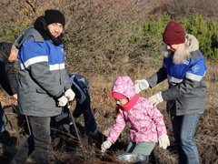 В Саратове на Кумысной поляне высадили 2 тысячи саженцев белой акации