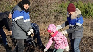 В Саратове на Кумысной поляне высадили 2 тысячи саженцев белой акации