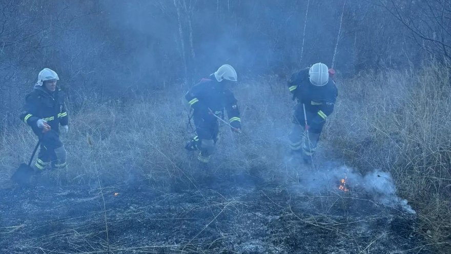 За тушением пожара у саратовского села Лох следят с помощью спутников