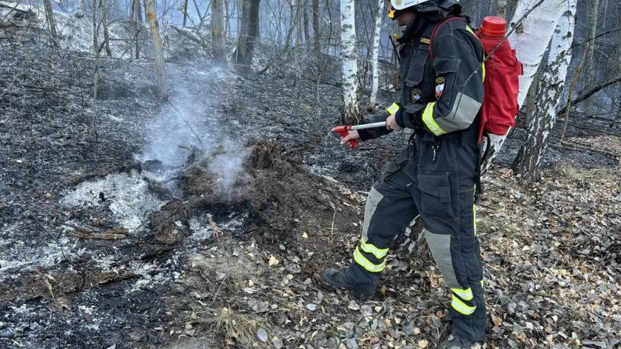 За тушением пожара у саратовского села Лох следят с помощью спутников