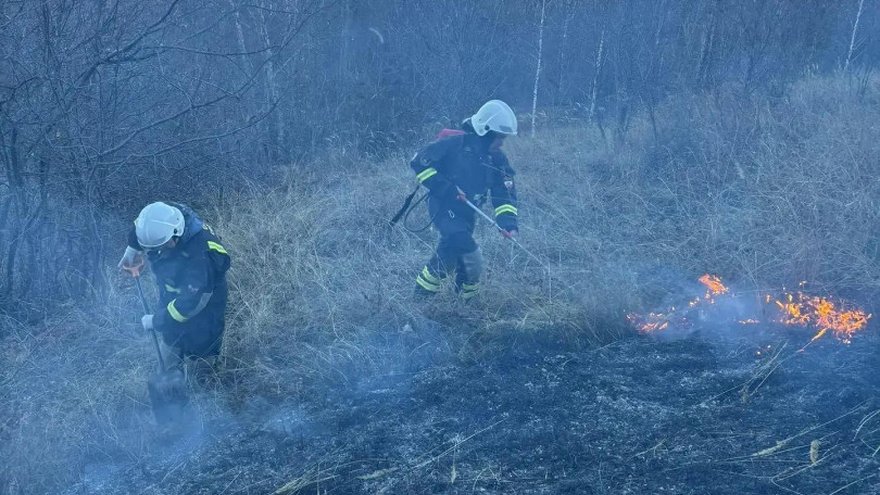 За тушением пожара у саратовского села Лох следят с помощью спутников