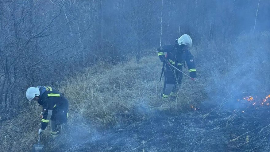 За тушением пожара у саратовского села Лох следят с помощью спутников