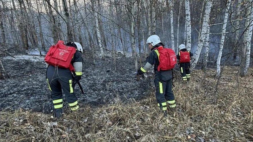 За тушением пожара у саратовского села Лох следят с помощью спутников