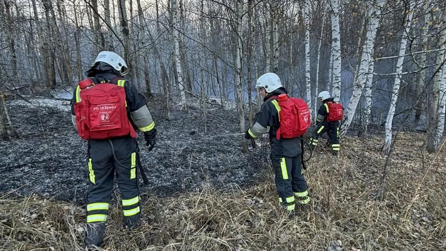За тушением пожара у саратовского села Лох следят с помощью спутников