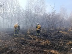 За тушением пожара у саратовского села Лох следят с помощью спутников