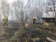 За тушением пожара у саратовского села Лох следят с помощью спутников