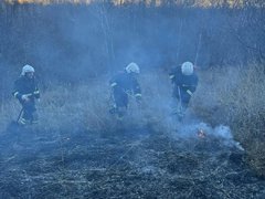 За тушением пожара у саратовского села Лох следят с помощью спутников