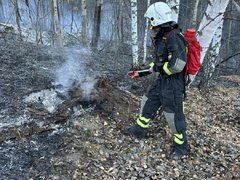 За тушением пожара у саратовского села Лох следят с помощью спутников