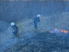 За тушением пожара у саратовского села Лох следят с помощью спутников