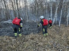 За тушением пожара у саратовского села Лох следят с помощью спутников
