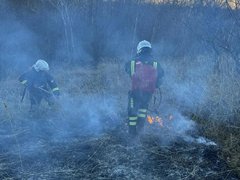 За тушением пожара у саратовского села Лох следят с помощью спутников