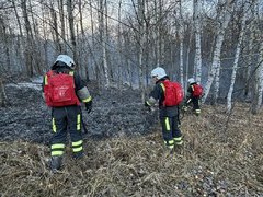 За тушением пожара у саратовского села Лох следят с помощью спутников