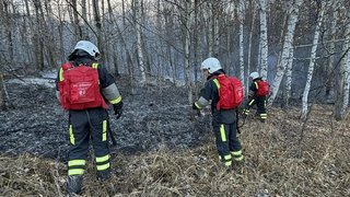 За тушением пожара у саратовского села Лох следят с помощью спутников