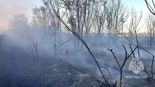 В Красном Куте пожарные отбили от огня жилой массив
