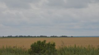 В Саратовской области появится новый муниципальный округ
